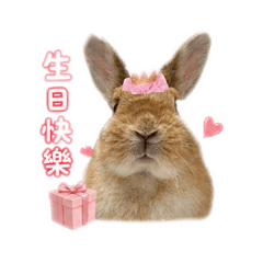 節日版的虎皮～