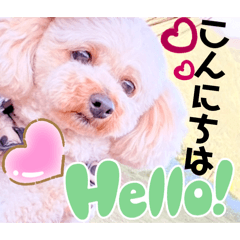Mochioba_20260515134242