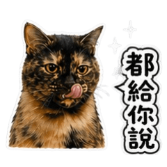 黑咖貼圖（生活用語篇2）