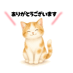 ayn8cats