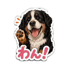 Rikko_20260511223004