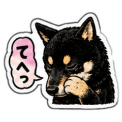 moki_20260511214815