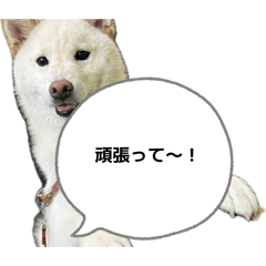 mishima_20260511223218