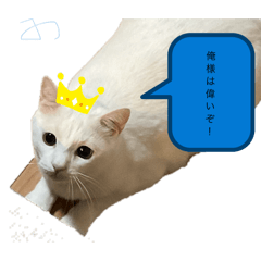 Ikura_20260511223636