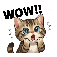 Bella the Kitten: Daily Greetings