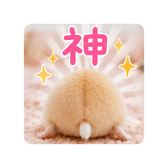 mint_20260511222555