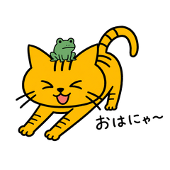 Daily Life of Relaxed Cat and Frog