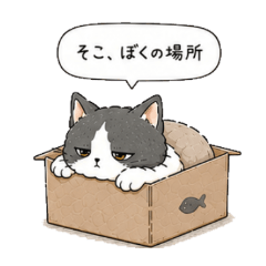 Sun Neko Low Energy Cat Stickers