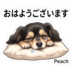 Peach Cute Daily Stickers Vol01