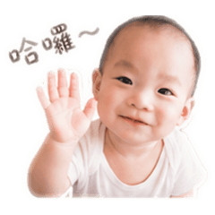 酪梨QBB