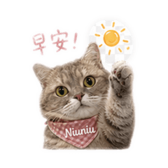Niu五吉～日常系列