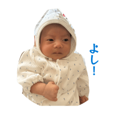 TOMO_20260512010234