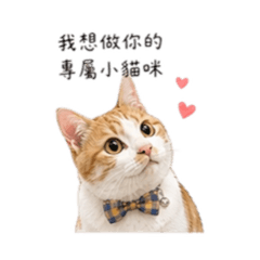 大鼻の甜言蜜語