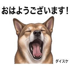 Daisuke Daily Cute Stickers Vol01