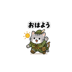 The Vibe-Hunting Cat