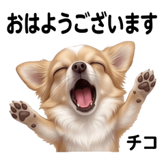 Chico Original Cute Stickers Vol01