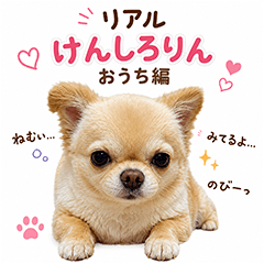 Real Kenshirorin - Home Edition -