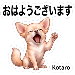 Kotaro Daily Cute Stickers Vol01