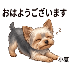 Konatsu Yorkie Daily Stickers Vol01