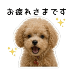udonchan_20260512005030