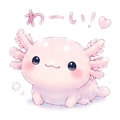 KyuruMoko