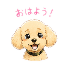 shima002_20260512005736