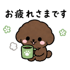 深棕色玩具貴賓犬的敬語貼圖
