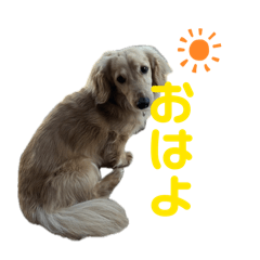 sarachan_20260512015354