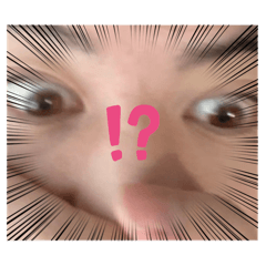 ak_20260512021337