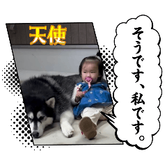ohane_20260512023215