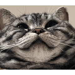 ebi..._20260512021356