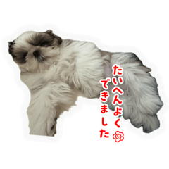 puu_20260512024214
