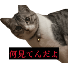 ore_20260512050908