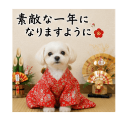 hitomin_20260512074209