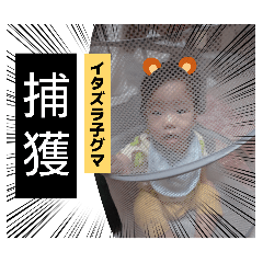 miyuki_20260512075847