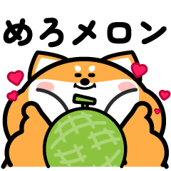 Cute and funny chubby dog 4