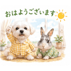 chako2019_20260512080343
