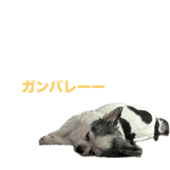 miyu_20260512095609
