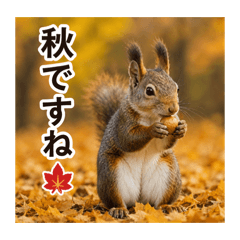 hitomin_20260512093826
