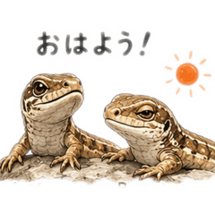mozuku_20260512094626