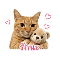 Catmine family_20260428172435