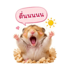 Happy shop_20260428172554