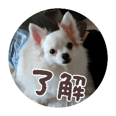 yusapy_20260512065147