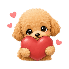 Sweet poodle sweet