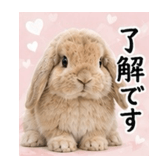 ms_20260512054253