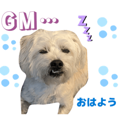 Misha_20260511175356
