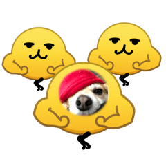 yur15_20260512070024