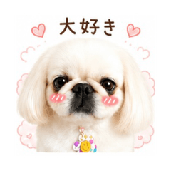 Y.Hsan_20260512073407