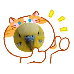 chocobo_20260512071413