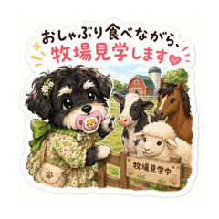 My puppy_20260512073244